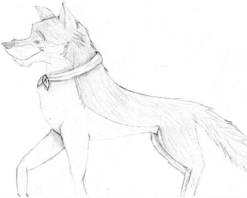 my ferst balto pic