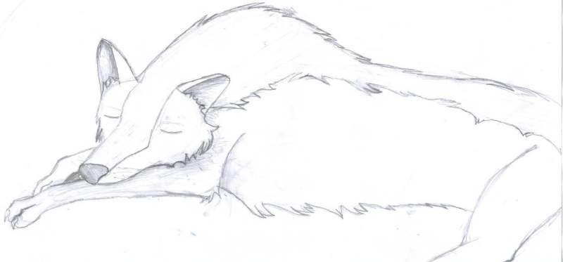 sleepy