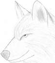 wolf head
