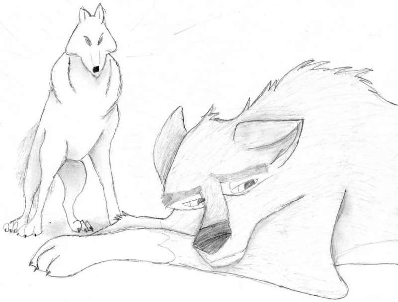 my 2nd balto pic