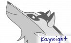 kaynight