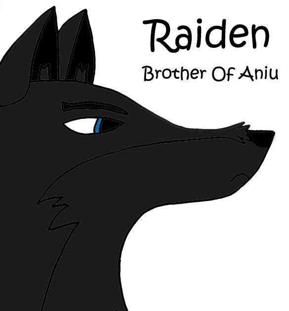 Raiden