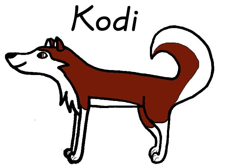 Kodi