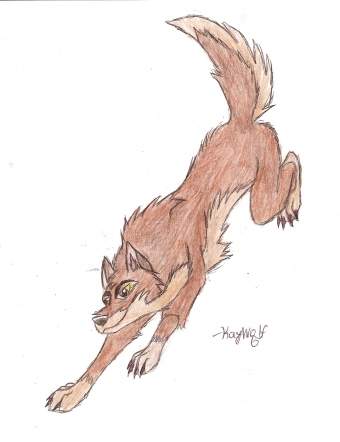 Balto