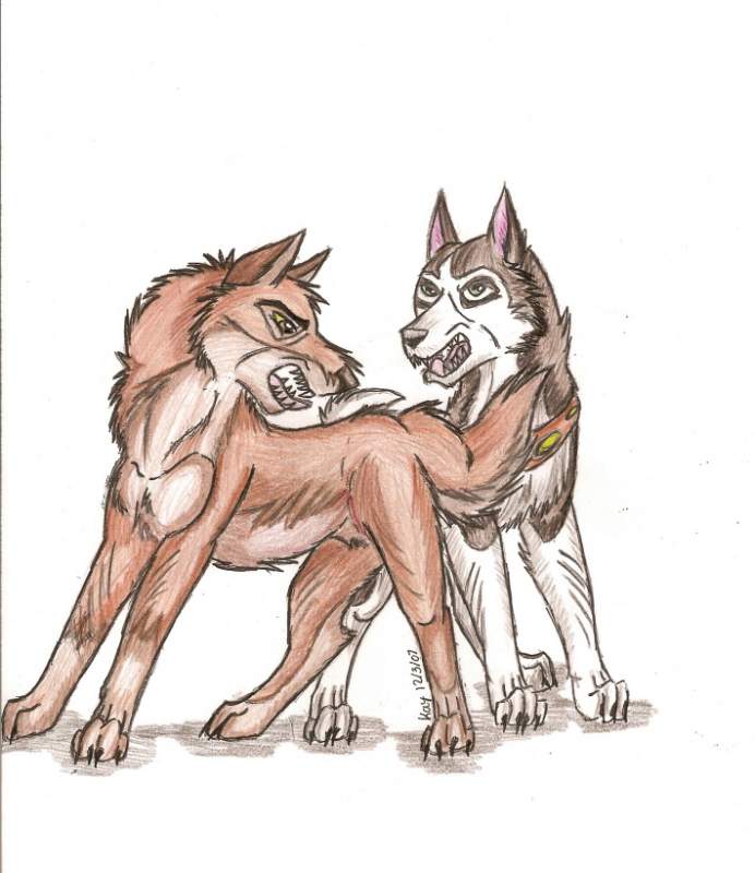 Balto and Steele