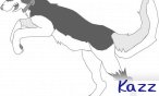Kazz