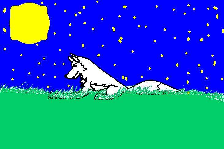 balto in the night with the stars and moon shining