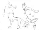CHARACTER PARTS