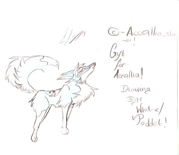 Gift for Accallia