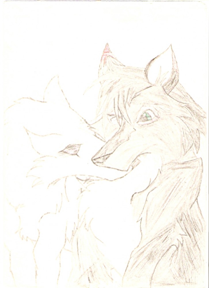 Dark Shadow Of The White Wolf and Moons Eye