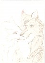 Dark Shadow Of The White Wolf and Moons Eye