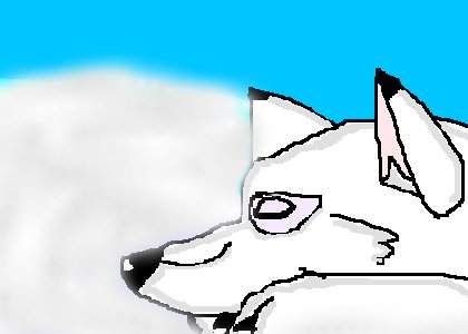 Aniu as a pup sleeping