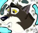 A Trabe,Me and Balto_claw