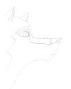 Aleu