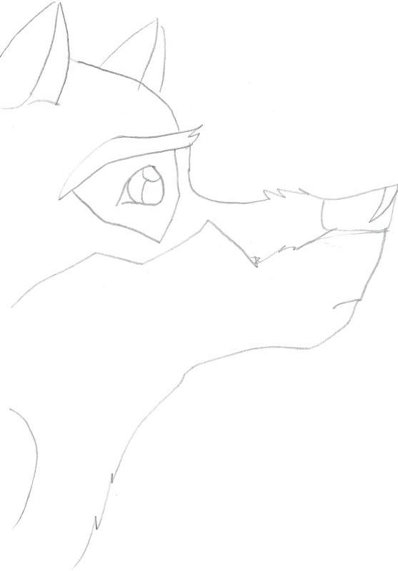 Balto