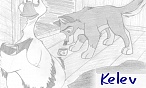 Kelev