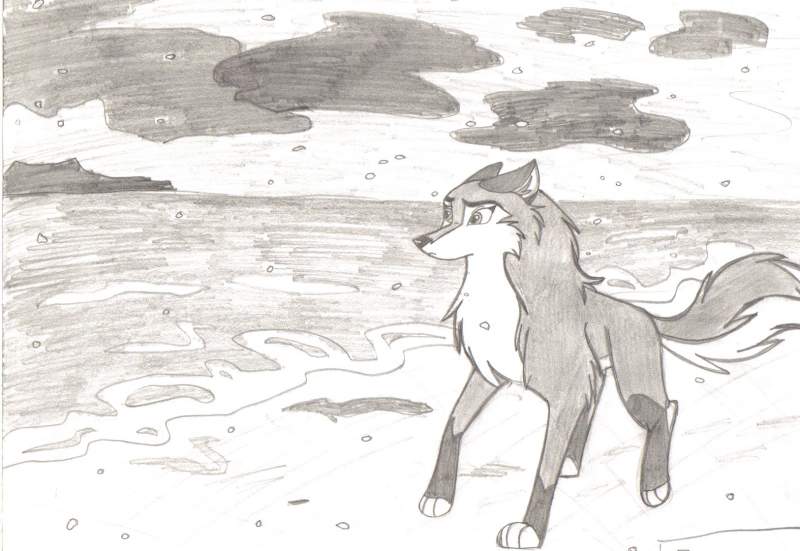 November winds
