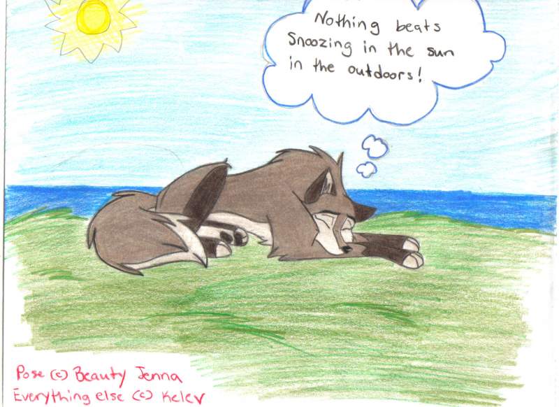 Wishing for summer