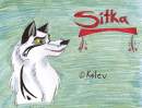 Colored Sitka