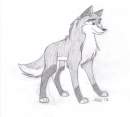 Rough Tovah drawing