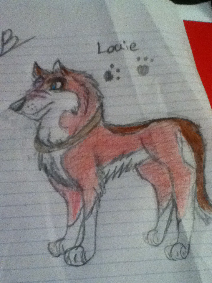Louie's Ref