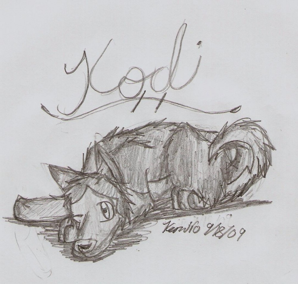 Kodi: My Style