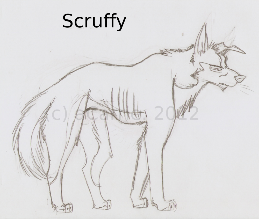 Scruffy