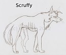 Scruffy