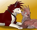 Dingo x Tide