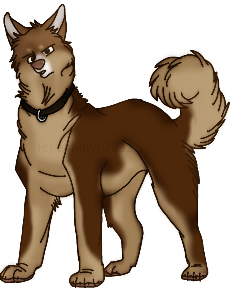 Chestnut's New Bodyshot
