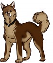 Chestnut's New Bodyshot