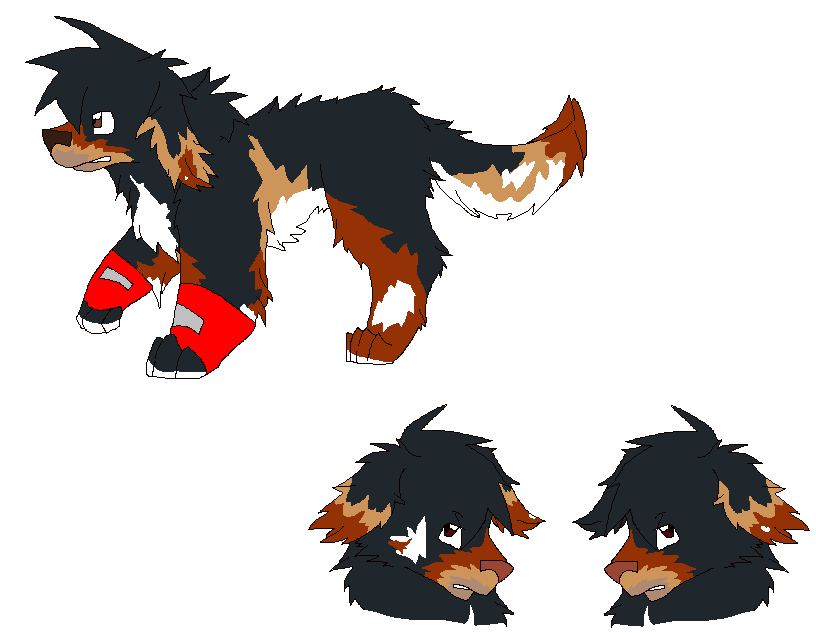Balto Source Fursona