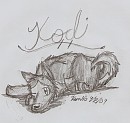 Kodi: My Style