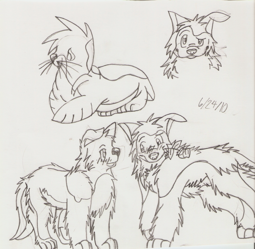 Sketches!