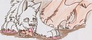  The Birth Of A Hero 