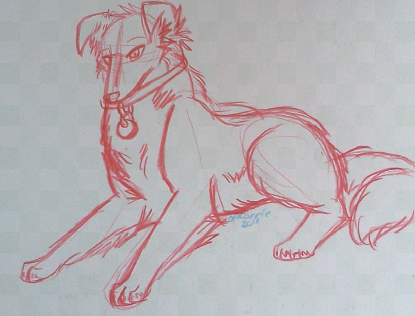 Abby -No Markings-