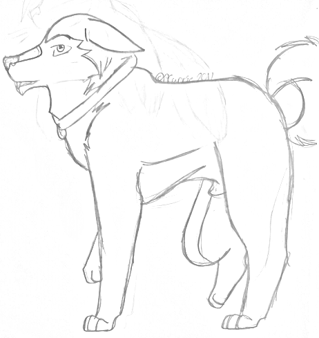 OMG! Its a Kodi!