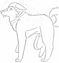 OMG! Its a Kodi!