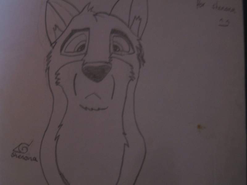 Balto!
