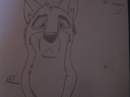 Balto!