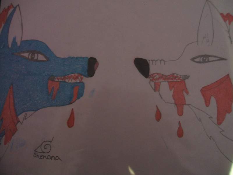 wolves