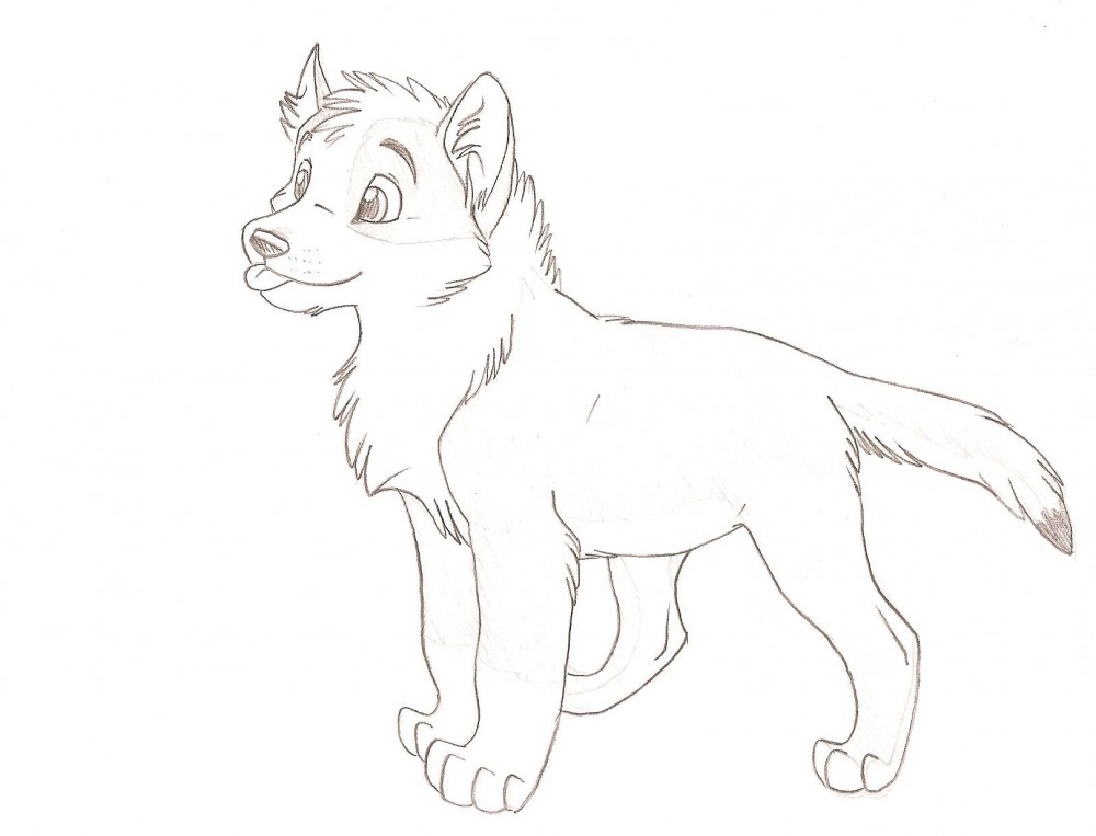 Random pup