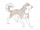 Steele, movie style