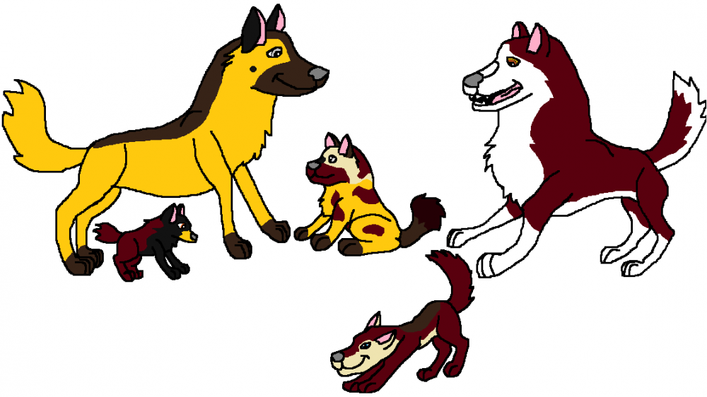 Kodi and Trace's pups