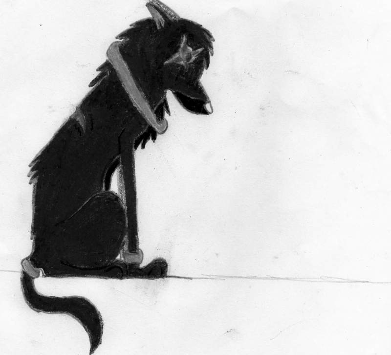 Echo
