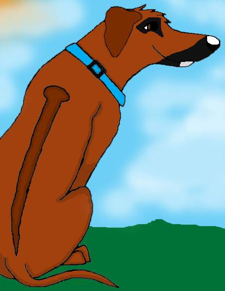 TOBIE!