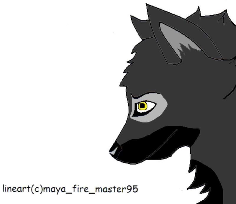 Echo