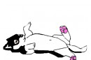 thyiam petit 