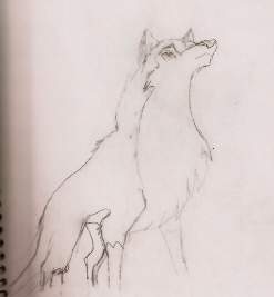 Aleu (again)