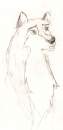 Aleu talking to Nava
